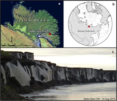 Rapid Fluvio-Thermal Erosion of a Yedoma Permafrost Cliff in the Lena River Delta